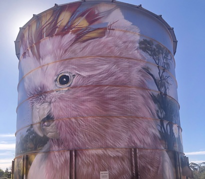 Jimmy Dvate painted in 2023 at Werrimull