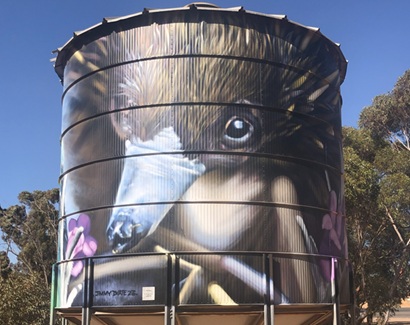 Silo Art at Werrimull