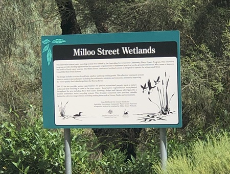 Milloo Street Wetlands Beside Murray River