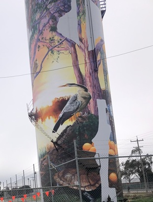 Turtle and bird Mural