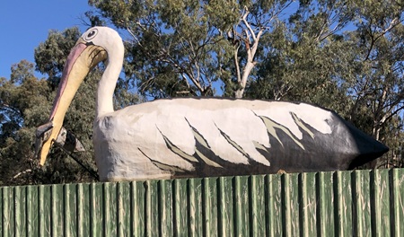 Big Pelican Caravan Park Loxton
