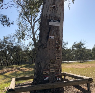Loxton Tree of Knowledge
