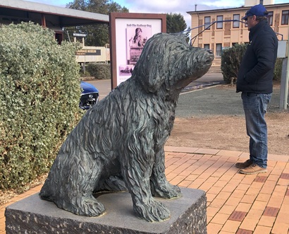 Bob the Railway Dog