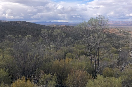 Buckaringa Lookout