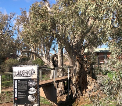 Diggers Bridge over Pinkerton Creek