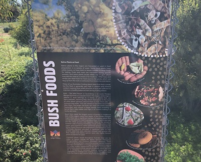 Information Bush Foods