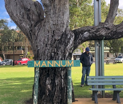 Mannum SA on The Murray
