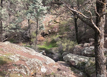 Part of Warren Gorge