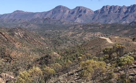 View From Bunyeroo Valley Lookout
