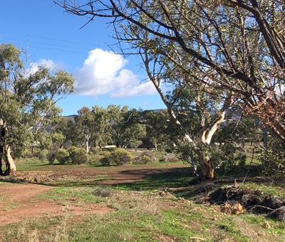 Walk Along Pinkerton Creek