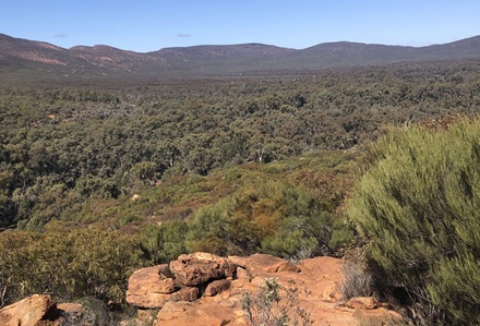 Wilpena Pound Lookout