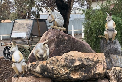 Yellow Footed Rock Wallabies Statue