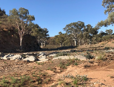 Brachina Gorge in the Flinders Ranges