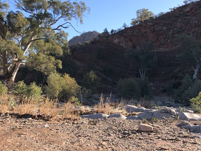Drive through Brachina Gorge