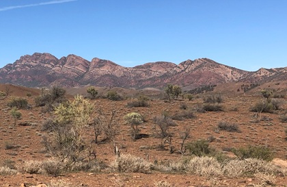 Elders Ranges SA