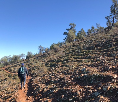 Leo Walking Up towards Clem Corner