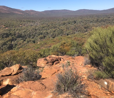 Lookout at Wilpena Pound