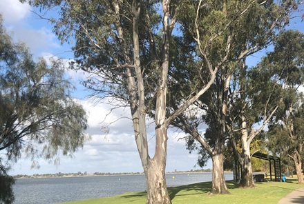 Picnic areas beside Lake Boga