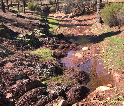 Rawnsley Park Station- Walking Trail