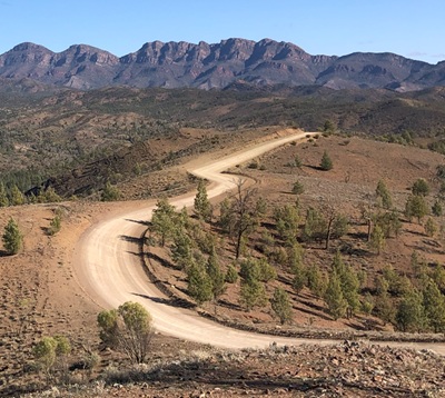 Road Through Bunyeroo Valley