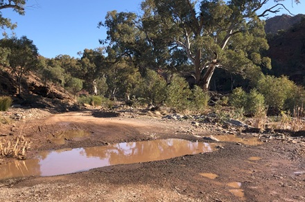 Track Through Brachina Gorge