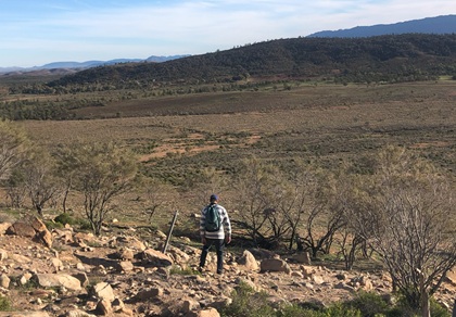 Twidale Top Across to Caravan Park
