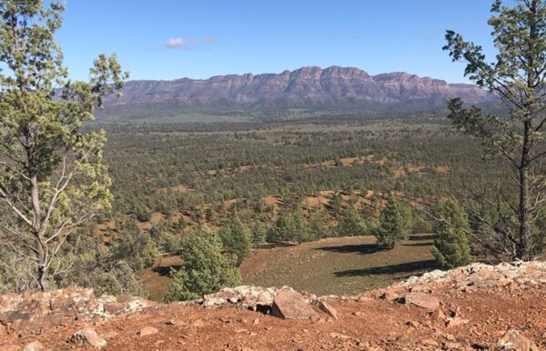 View From Clem Corner