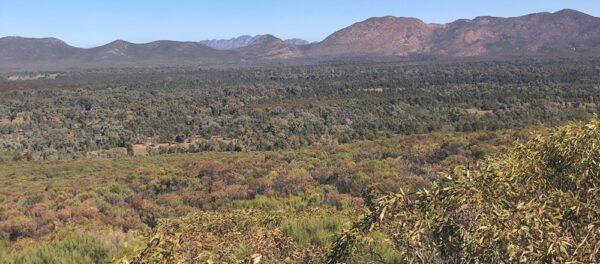 View of Wilpena Pound from Wangarra Lookouts