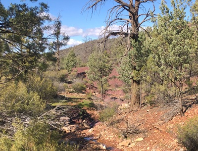 Walking down from Clem Corner