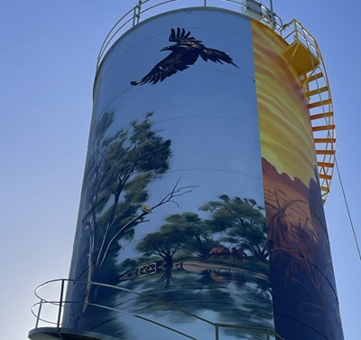 Wedge-Tailed Eagle on Tank at Moulamein