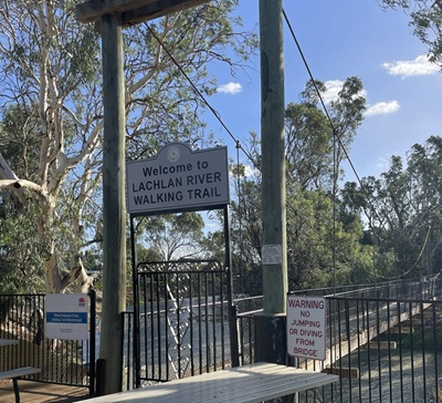 Bridge to Walking Track Hilston